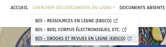 Lien vers les ebooks et revues en ligne dans le catalogue