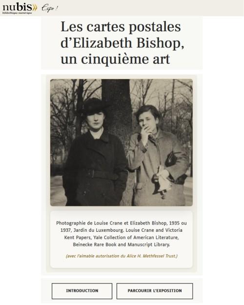 extrait page d'accueil expo Bishop NuBIS